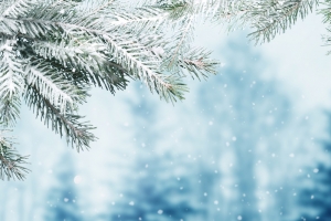 冬日雪景背景图