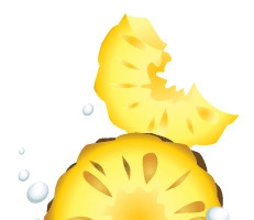 凤梨水果 夏季水果素材