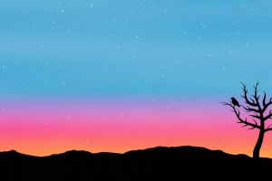 3840x2160 树 鸟 艺术 矢量 星星壁纸 背景