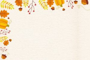 感恩节火鸡暖色banner