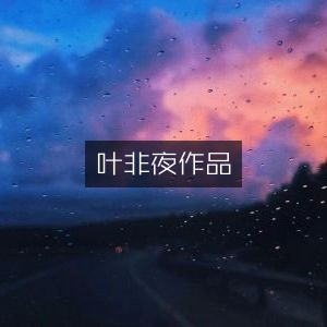 叶非夜著作精选，文学艺术书籍推荐