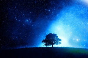 星光下的树星空全屏海报背景七夕