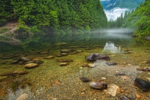 森林河流,清澈见底,山,石头,自然风景图片