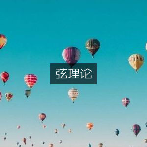 弦理论，探索自然奥秘的纪实书籍阅读