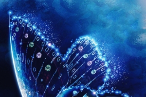 梦幻珠宝蝴蝶海报背景