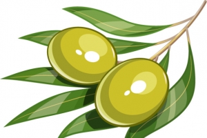 矢量时尚卡通蔬菜设计素材