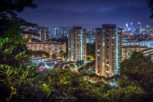 摩天大楼 建筑物 城市 夜晚 树木 4k壁纸 3840x2160