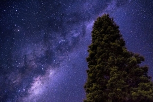 星空 银河 树 星星 4k壁纸 3840x2160