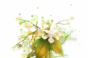 手绘水彩花朵藤蔓涂鸦壁纸
