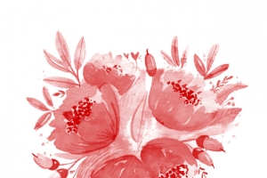花，花瓣，花朵76