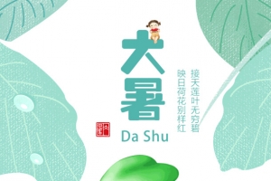 大暑接天莲叶无穷碧映日荷花别样红