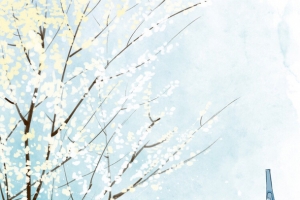 中国风雪地梅花风景