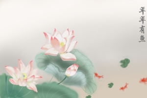 荷花 年年有鱼 国风 清新 素雅8k壁纸 图片素材