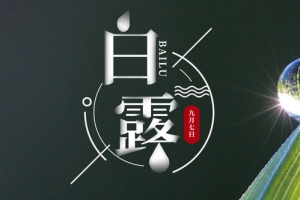 二十四节气白露水珠banner海报