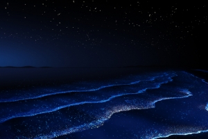 华为Mate Book Fold 蓝色璀璨星河 3440x1440带鱼屏壁纸