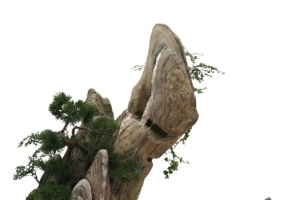 假山图片