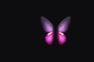 三星Galaxy Fold Butterfly 蝴蝶 唯美艺术4K壁纸