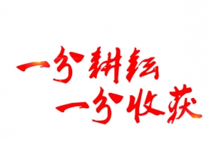 51劳动节文案设计