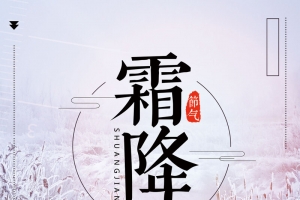 唯美大自然芦苇霜降海报背景psd
