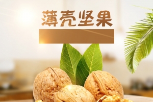 淘宝家居薄壳坚果食品PSD主图背景素材
