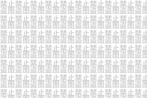 禁止盗图系列全屏水印3