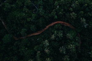 手掌 俯视图 道路 绿色 4k壁纸 3840x2160