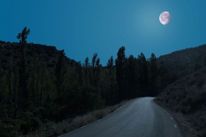 道路 树木 月亮 夜间 4k壁纸 3840x2160