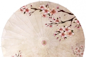 复古杏花油纸伞