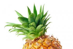 菠萝切开高清PNG透明免扣图片-水果设计素材免费下载