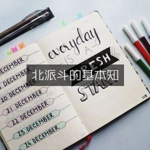 北派斗数基础知识详解 | 古典文集