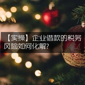 实操指南，有效化解企业借款中的税务风险