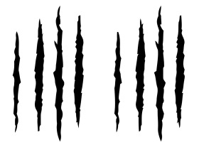 爪痕