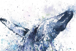鲸鱼