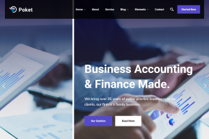 权威财务会计服务平台网站