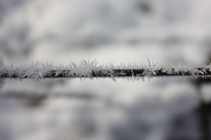 电线 白霜 霜 晶体 金属 冻结 宏观 4k壁纸 3840x2160