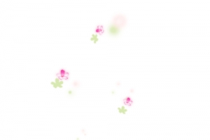 白色花瓣水红色花瓣绿色叶子