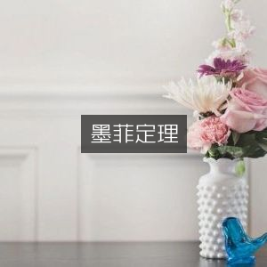 墨菲定理，增强个人能力的必读书籍