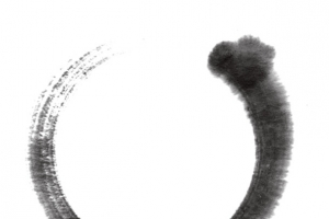 中国风水墨圆环