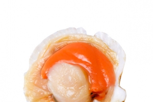烧烤粉丝扇贝