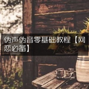伪声伪音入门教程，网恋达人必备技能