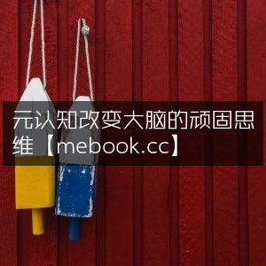 元认知，重塑大脑顽固思维，提升个人能力【mebook.cc】