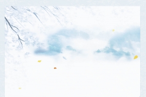 冬天冬季节气大雪广告