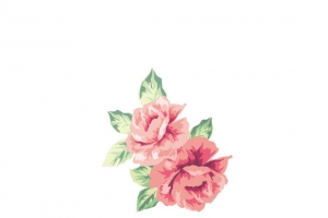 花卉