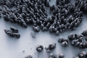 森林 雪 鸟瞰图 冬天 白色 4k壁纸 3840x2160