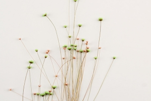 碎花一束花小花