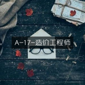A-17 造价工程师专业指南