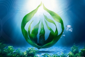 深海里的海藻海报背景素材