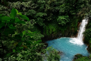 瀑布 泻湖 树木 丛林 风景 4k壁纸 3840x2160
