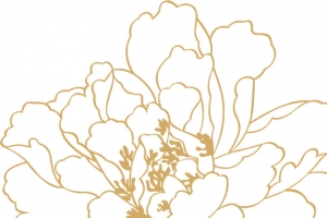 黄色描边花朵设计效果