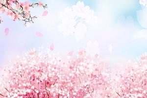 浪漫桃花林护肤品海报背景psd